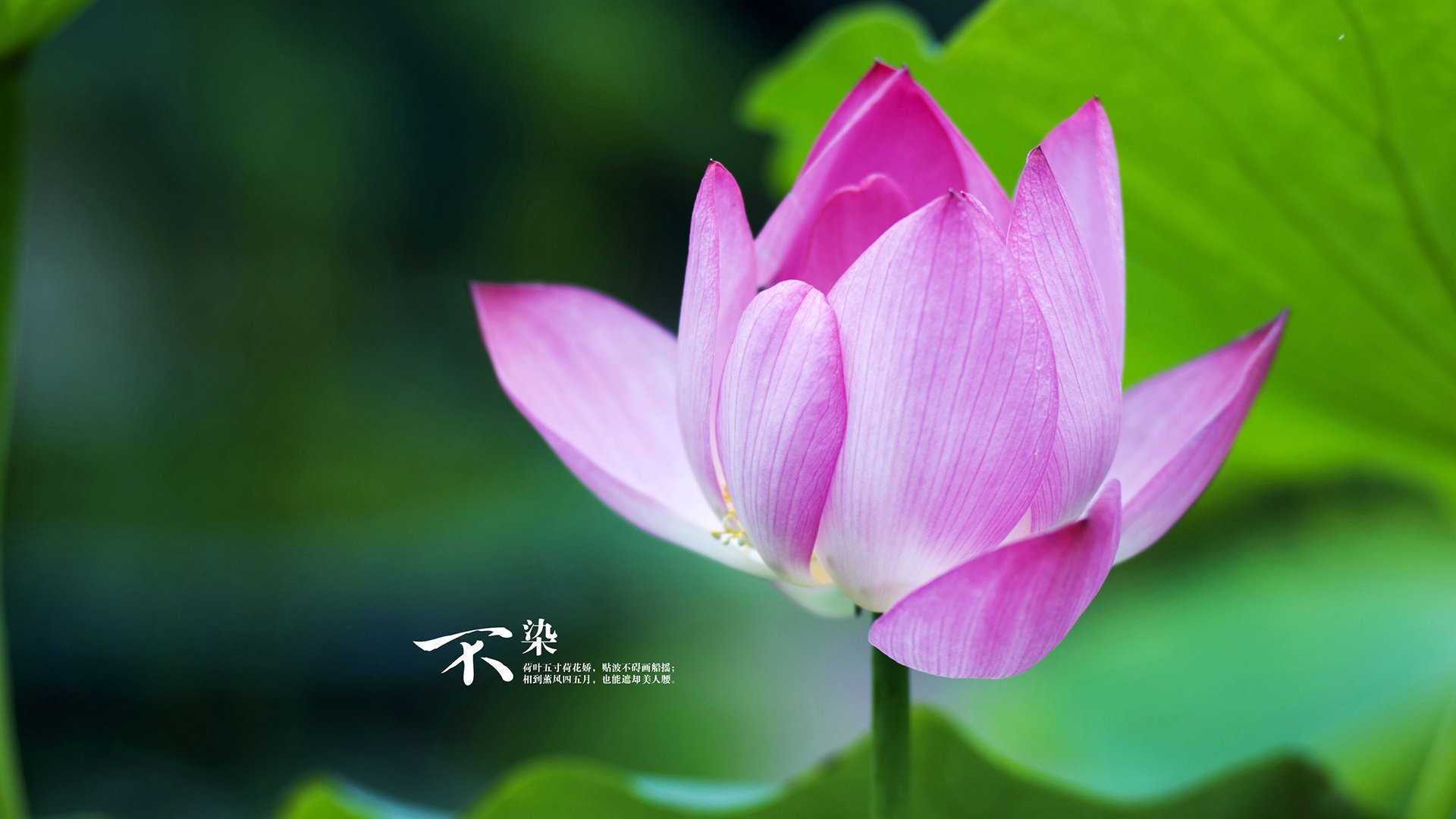 双重荣光，钢铁之躯与终极逆转，纳达尔定义何为唯一