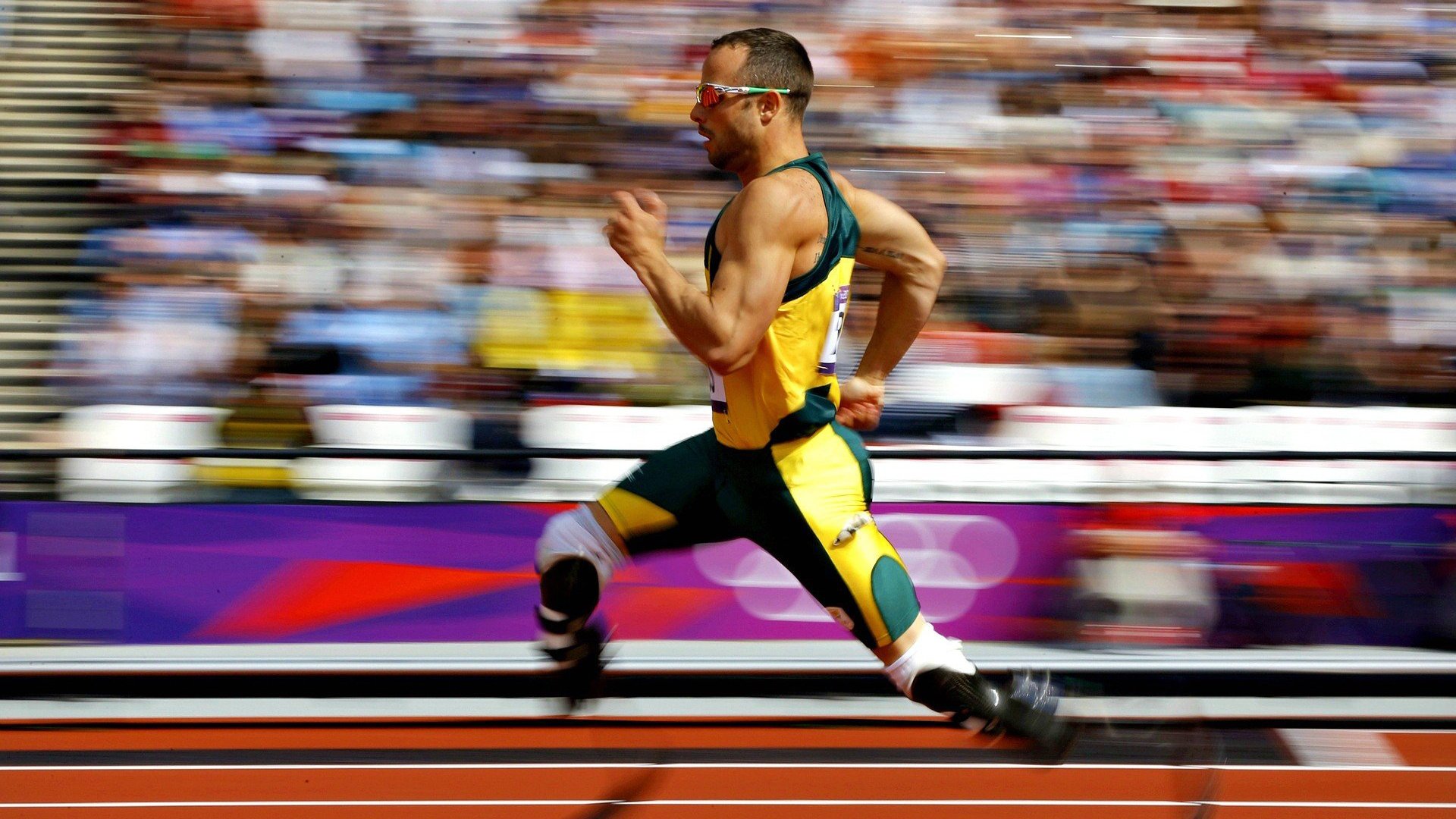 从法拉盛到都灵，兹维列夫美网登顶后无缝衔接，年终总决赛强势卫冕铸就历史唯一