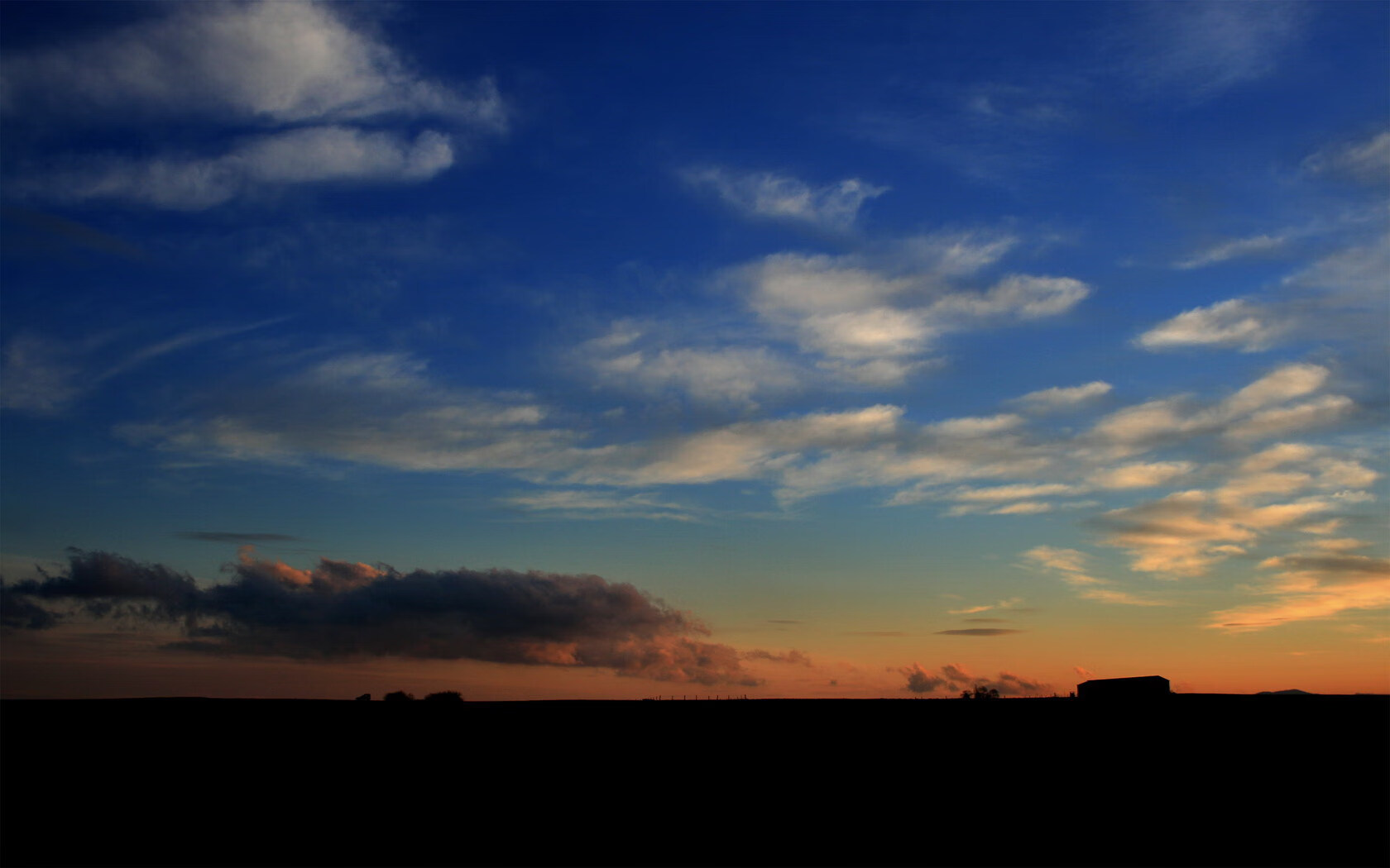 冰与火的交响曲,瑞典队轻取波兰队,张本智和点燃赛场