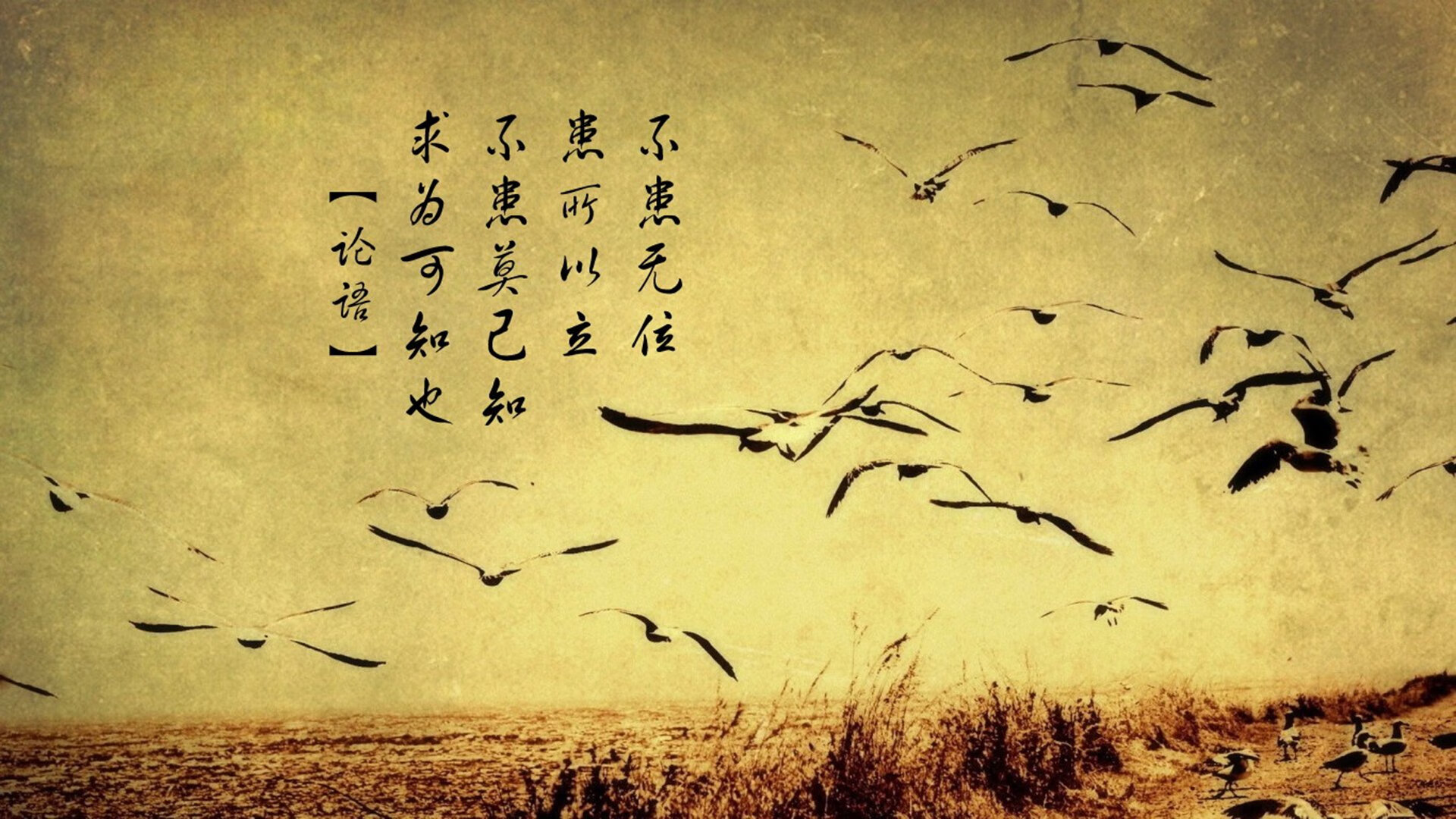 硬仗的两种解法,从波士顿的坚韧到切特的欧冠封神之夜