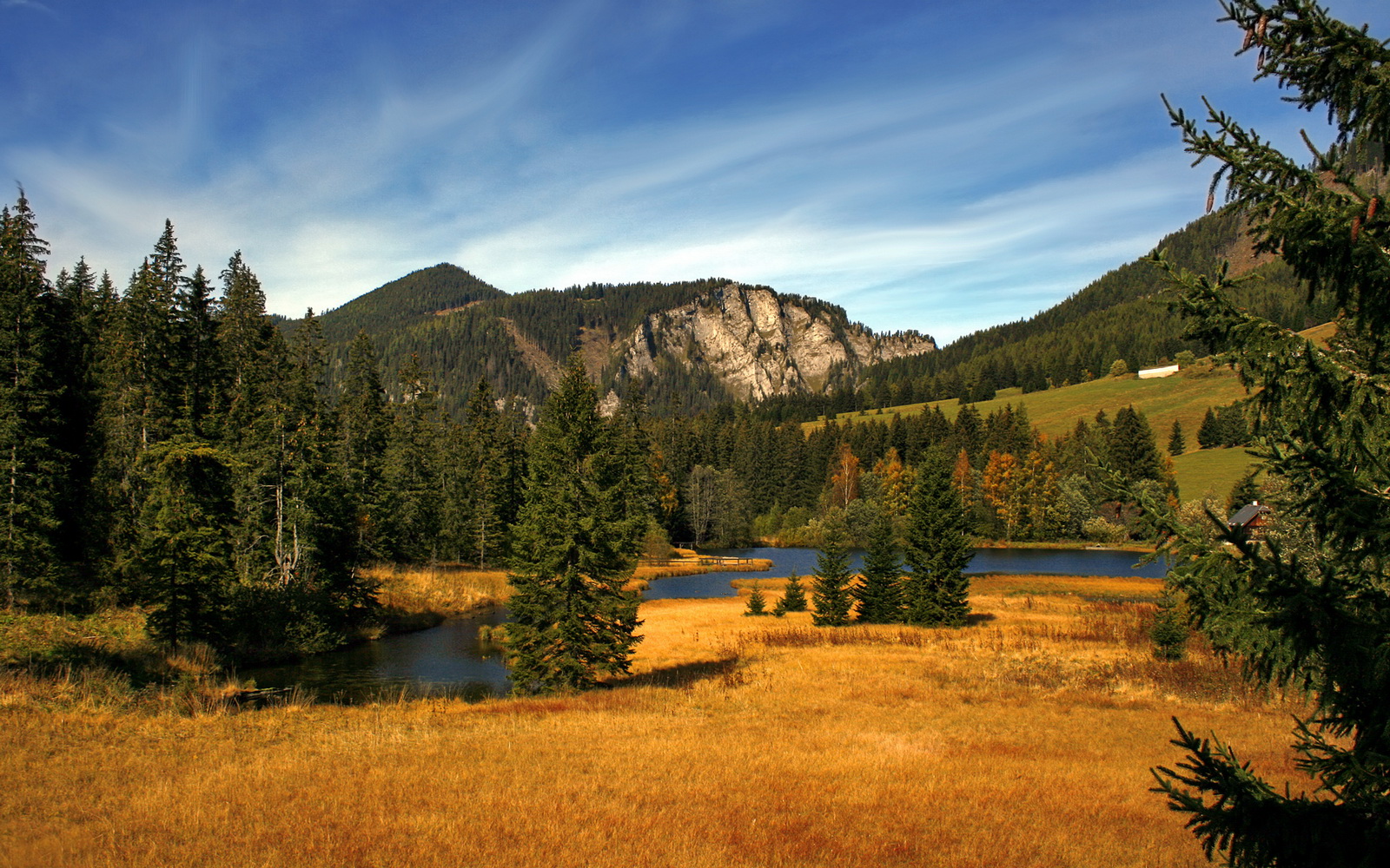 他的哨声不在今晚响起,当文班亚马凝视深渊时,深渊在震颤