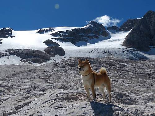 德甲争冠夜,特奥的隐形操盘手之战