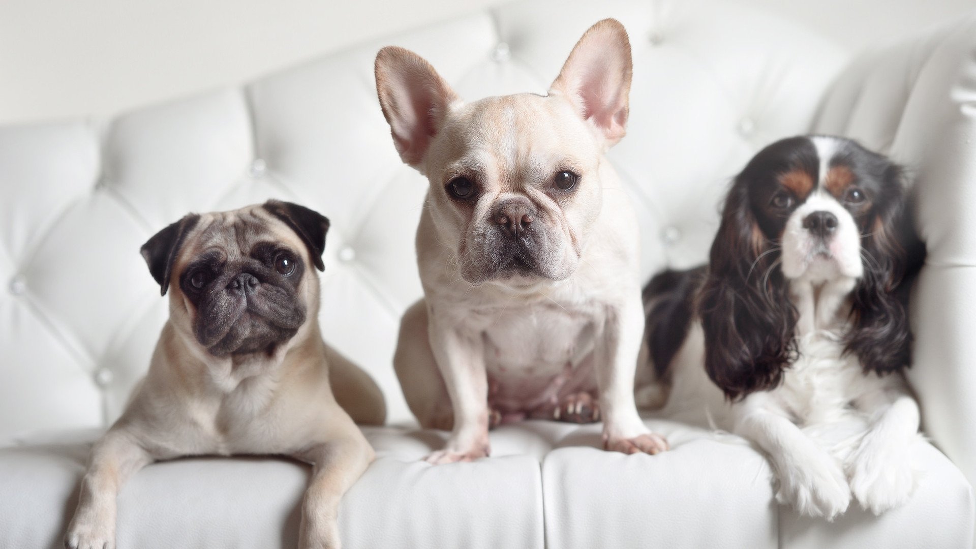 双线奇迹，勇士铁壁封锁奥兰多，锡安降临德甲争冠战接管绿茵