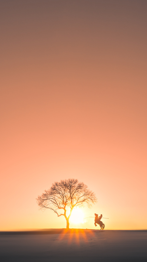 沙漠之光斩断潘帕斯,伊布爆发助阿尔及利亚加时逆转智利