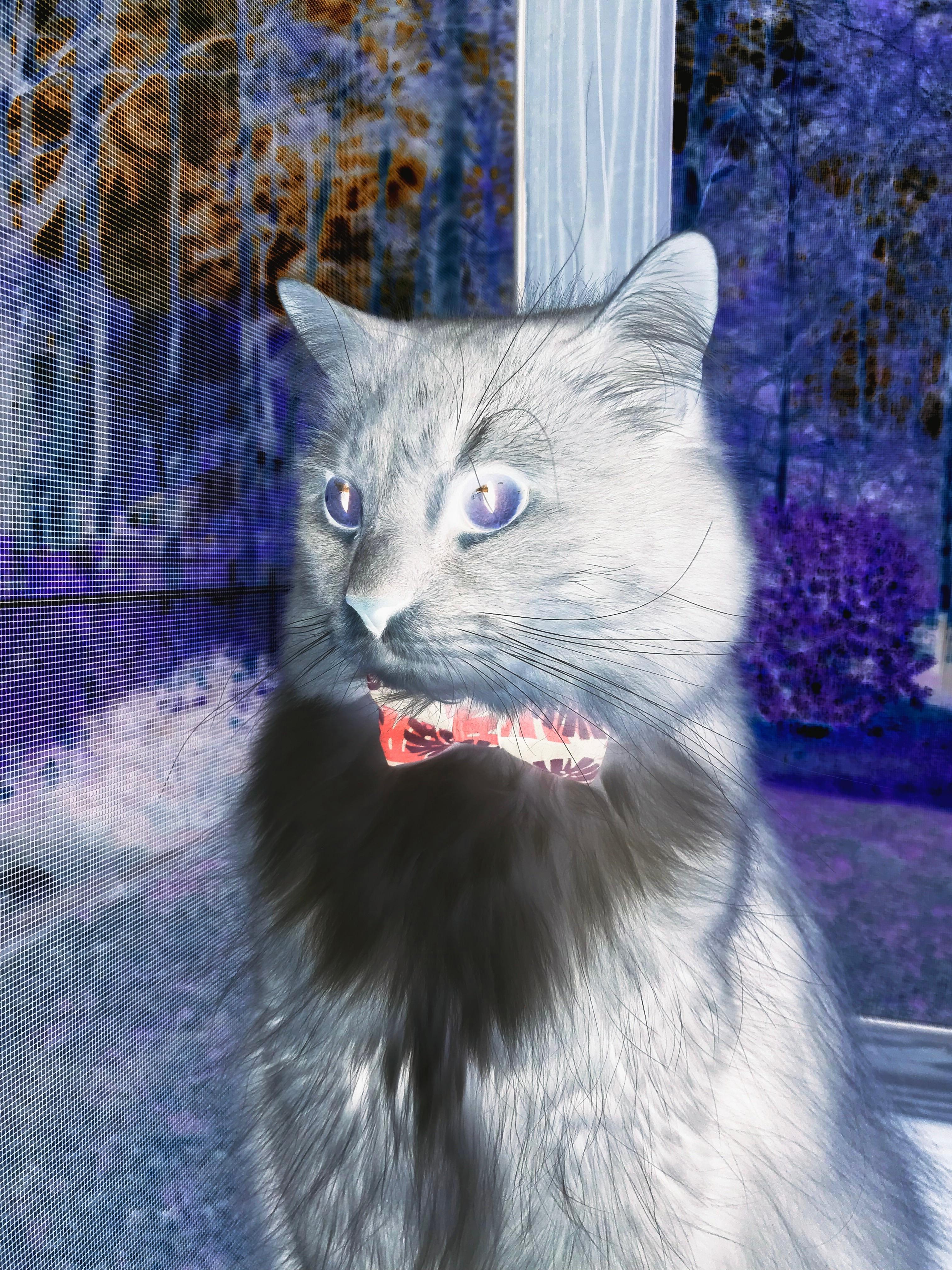 加克波抢七时刻主宰赛场,马德里竞技力克比利亚雷亚尔晋级关键战