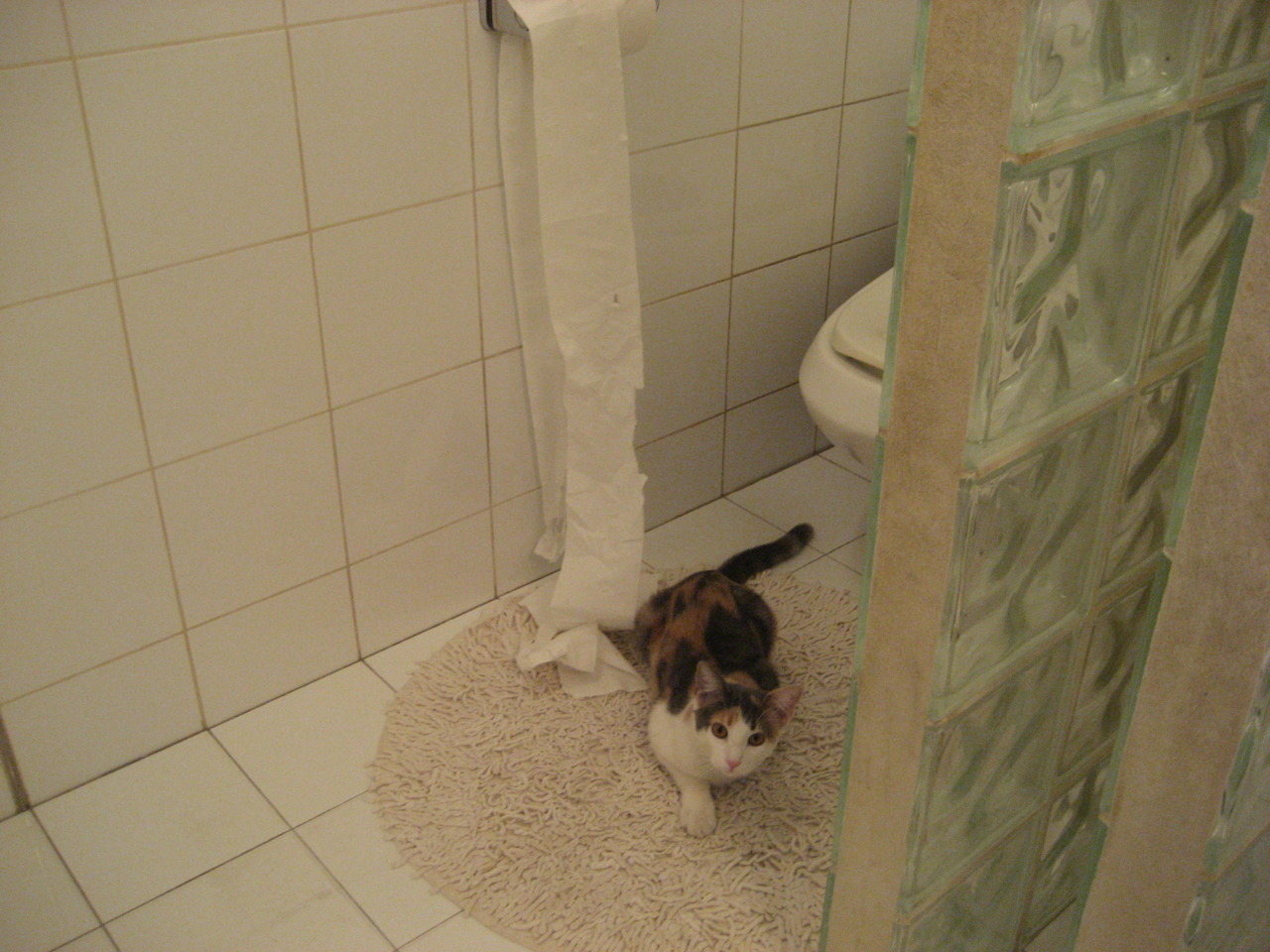 数据谬误与英雄主义,当范弗利特的接管重新定义击溃—一场篮球哲学的胜利