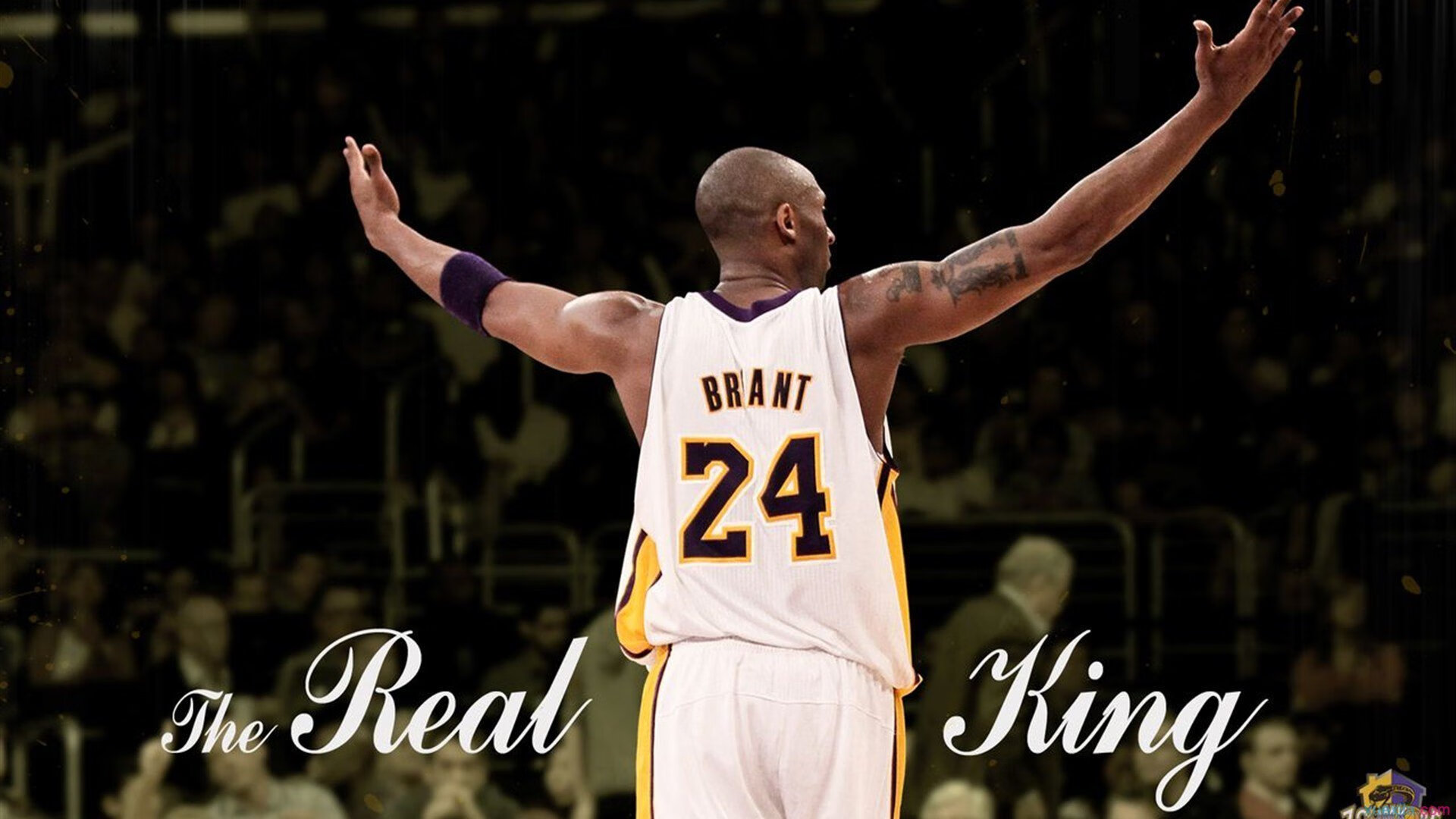 绿茵碾压蓝白风暴，东方王牌接管北境决战