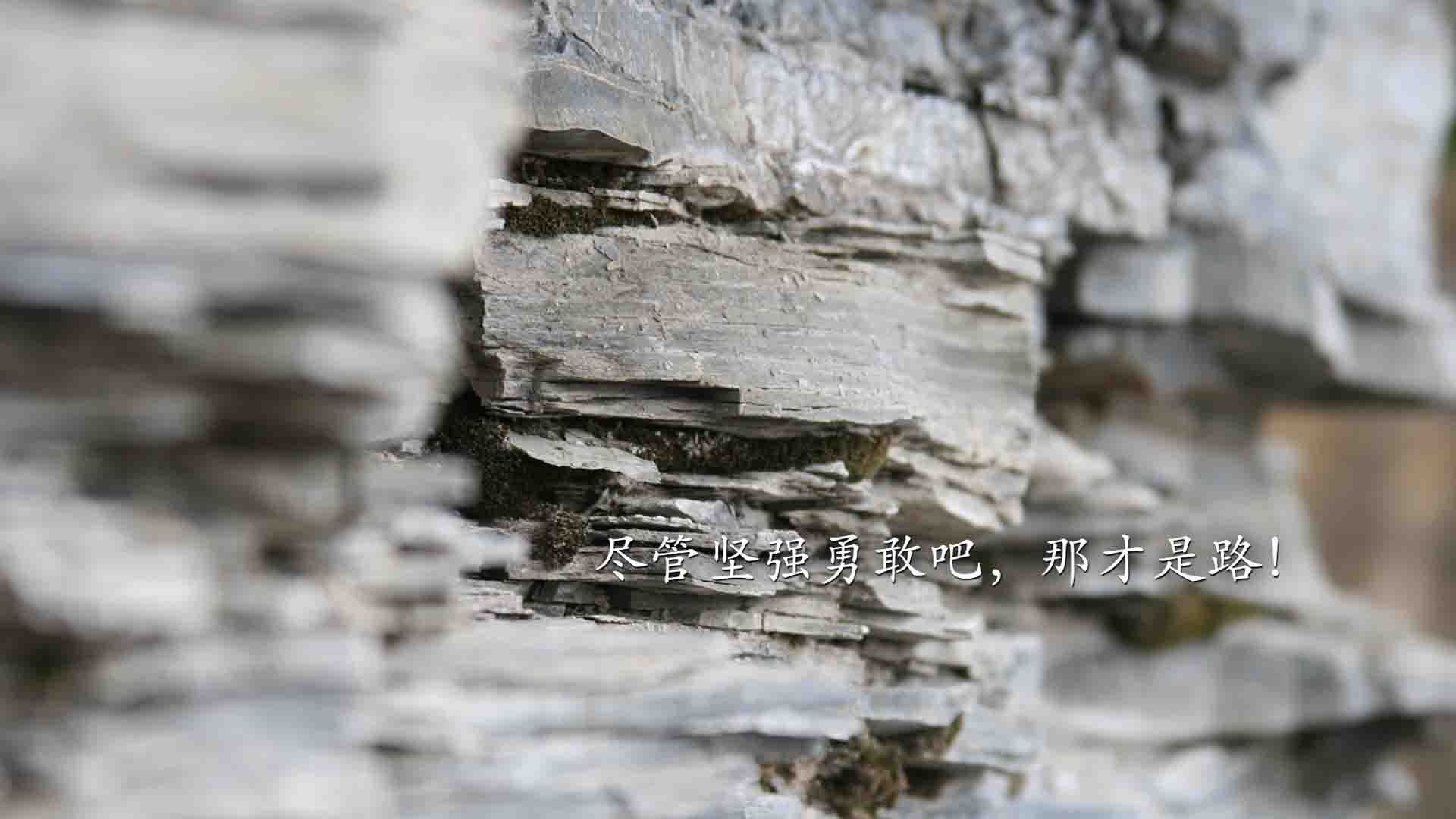 幽灵主帅,苏亚雷斯如何用沙盘推演掌控了法爱之战的每一分钟