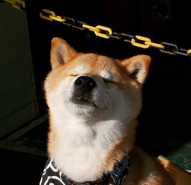 抢七夜的金色洪流,勇士用团队火焰熔铸胜利