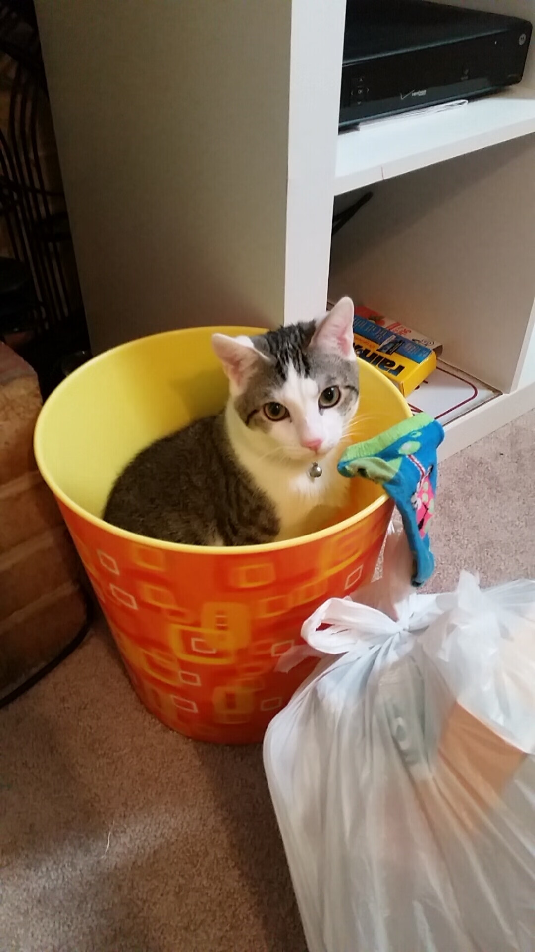 硬撼与狂潮,灰熊撕裂铁壁,字母哥降下神罚