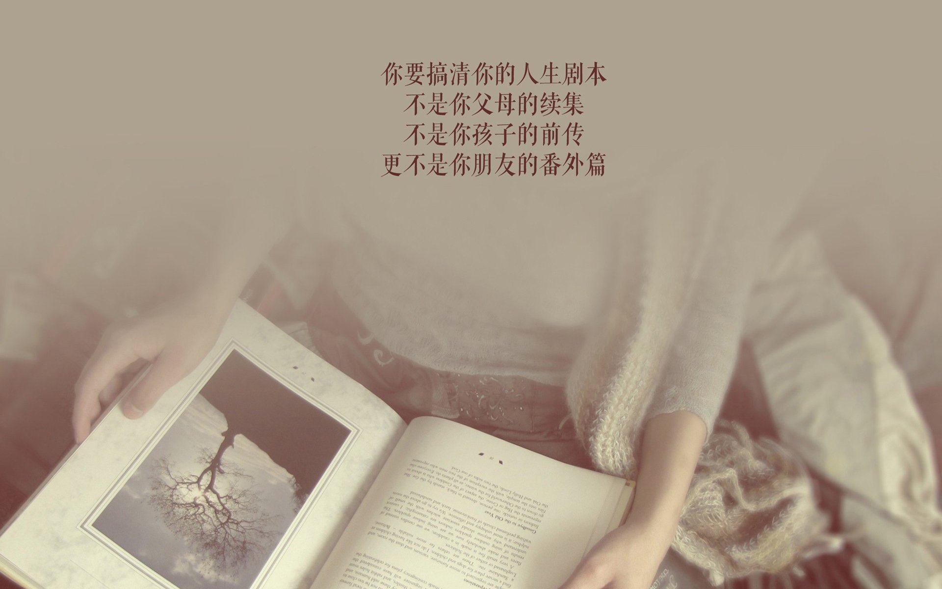 孤城与冰原，2026，库尔图瓦在北境的最后一道光